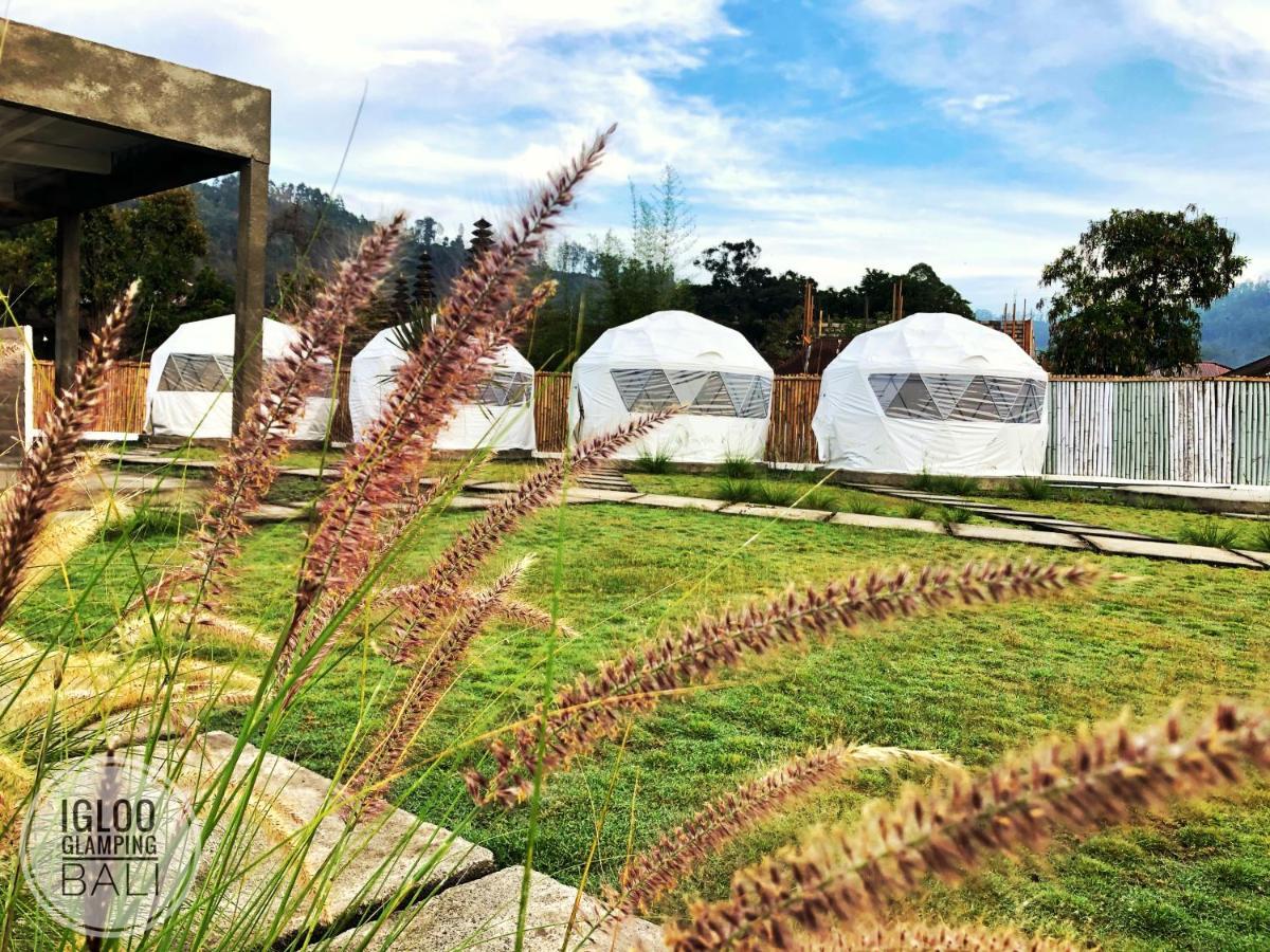Igloo Glamping Bali Hotel Kintamani Екстериор снимка