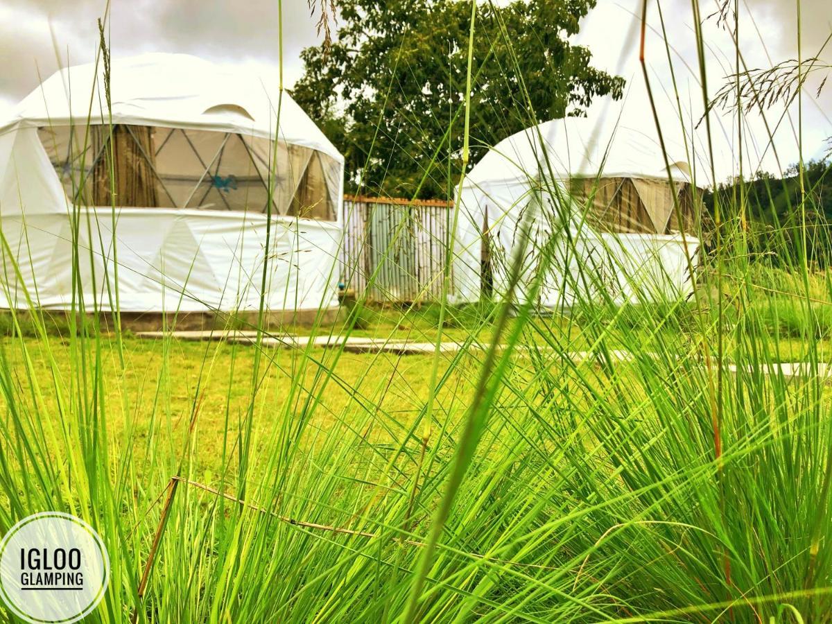 Igloo Glamping Bali Hotel Kintamani Екстериор снимка
