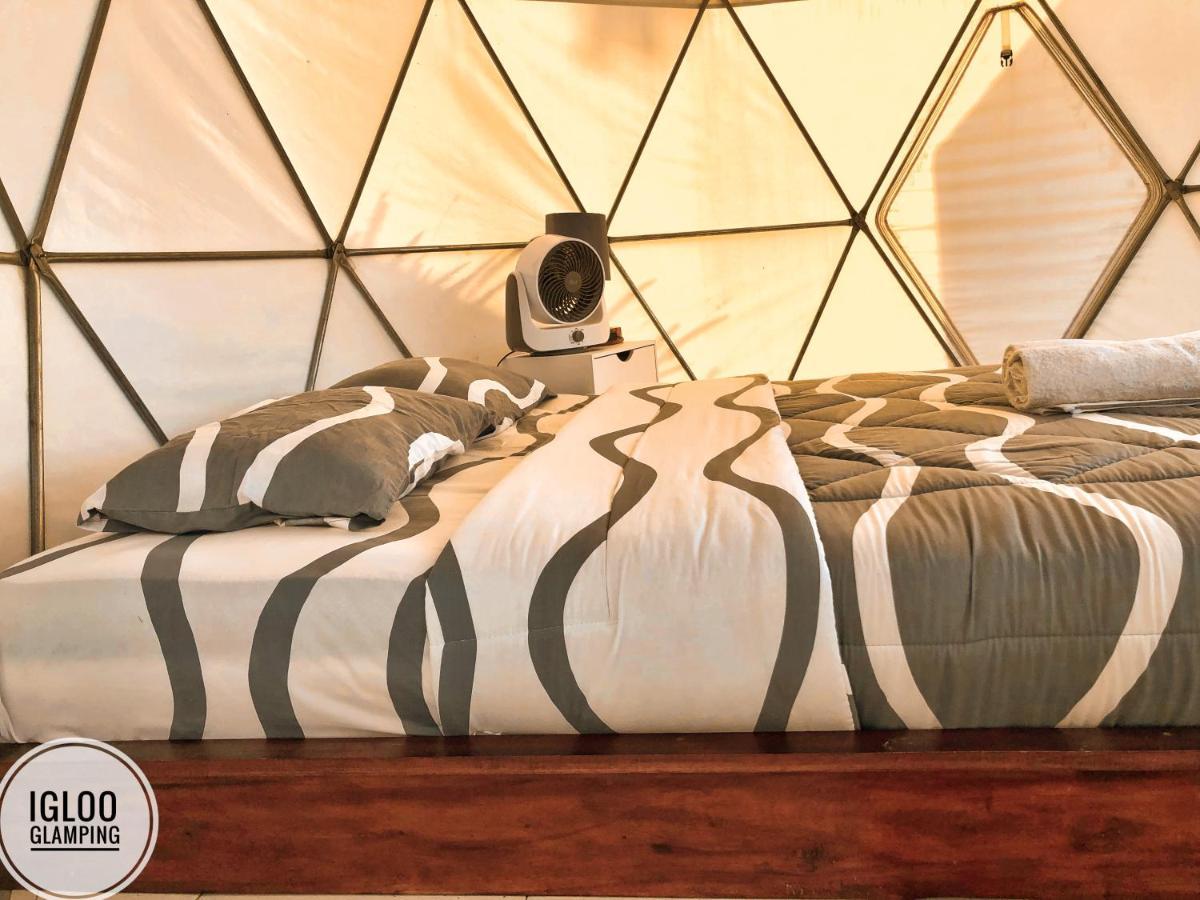 Igloo Glamping Bali Hotel Kintamani Екстериор снимка
